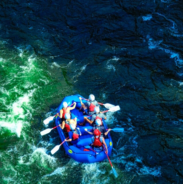 banner-image